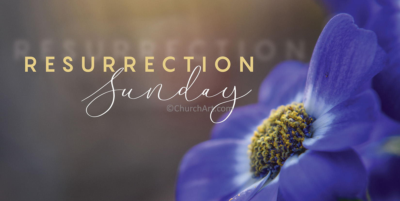 Easter celebration image of flower and the caption resurrection Sunday