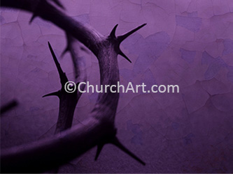 Crown of thorns as background photo