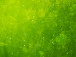 Vibrant Green Worship Background for music lyrics, church announcements and more