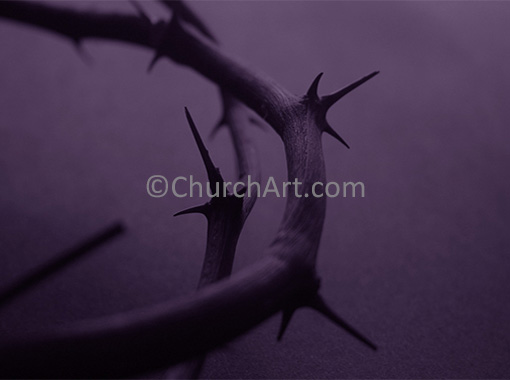 Crown of thorns representing the crucifixion of Jesus Christ