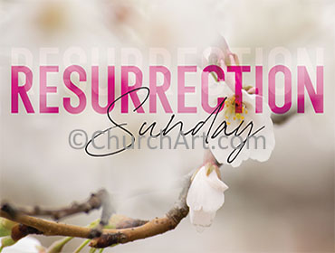 Photo of dogwood branch with the caption Resurrection Sunday