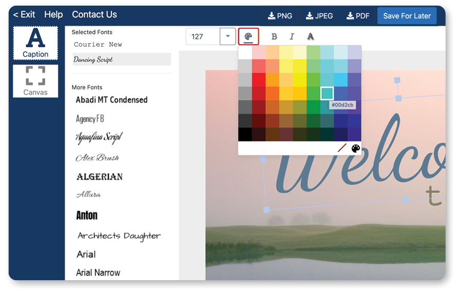 Screen capture of the caption editor design tool