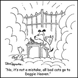 Church art cartoon of cat looking at angel dog behind podium outside gates of heaven with caption NO IT'S NOT A MISTAKE ALL BAD CATS GO TO DOGGIE HEAVEN