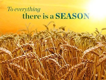 Church Art Motion Video wheat field, sun and orange sky with caption To Everything There Is A Season