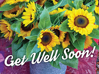 Church art photo of sunflowers and Get Well Soon caption