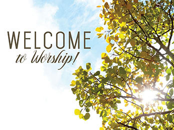 Church art photo of tree with Welcome to Worship caption