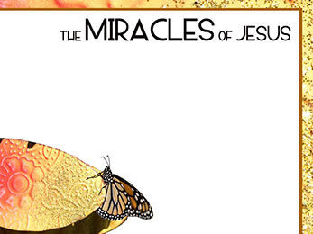 Church Art PowerPoint image of butterfly on leaf and border and caption The Miracles of Jesus