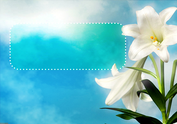 Easter Lily Powerpoint Background