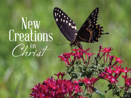 Christian Easter Photo of butterfly with New Creation caption