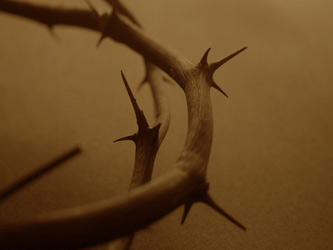 Christian Easter Photo of Crown of Thorns