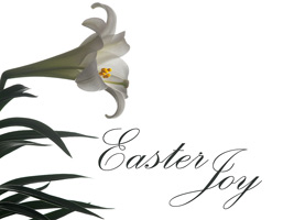 Christian Easter Photo of white lily with Easter Joy caption