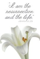 Christian Easter Photo of lily with Resurrection Life caption