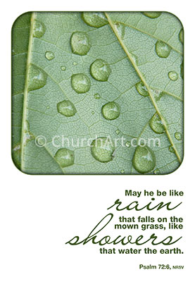Church Bulletin Covers photo of rain droplets on a leaf with Scripture verse May he be like rain that falls on the mown grass, like showers that water the earth. Psalm 72:6, NRSV