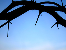 Easter Religious Photo of Crown of Thorns with Blue Sky Background
