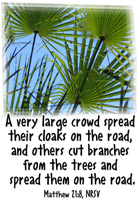Photo of Palm Branches Against the Sky. Captioned with Matthew 21:8