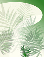 Green Background With Green Palm Branches. Large White Sun at Top.  No Caption