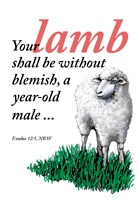 Passover Clip-Art image of a lamb and scripture reference of Exodus 12:5. Your lamb shall be without blemish caption