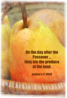 Passover Clip-Art of fruit representing the produce of the land was eaten on the day after Passover with Joshua 5:11 scripture reference