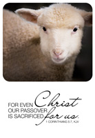 Passover Clip-Art image of a lamb referencing 1 Corinthians 5:7 For Even Christ our Passover is sacrificed for us caption