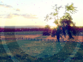 Worship Bulletin with an image of a farm meadow with single tree at sunset